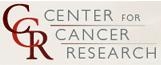 NCI Center for Cancer Research: Visit more on fellowships and basic science