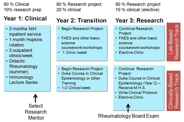 Description of activities  per year in the rheumatology training program