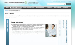 Interactive tool that illustrates the components of The Cancer Genome Atlas.