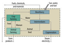 Integrated Biorefinery Concept
