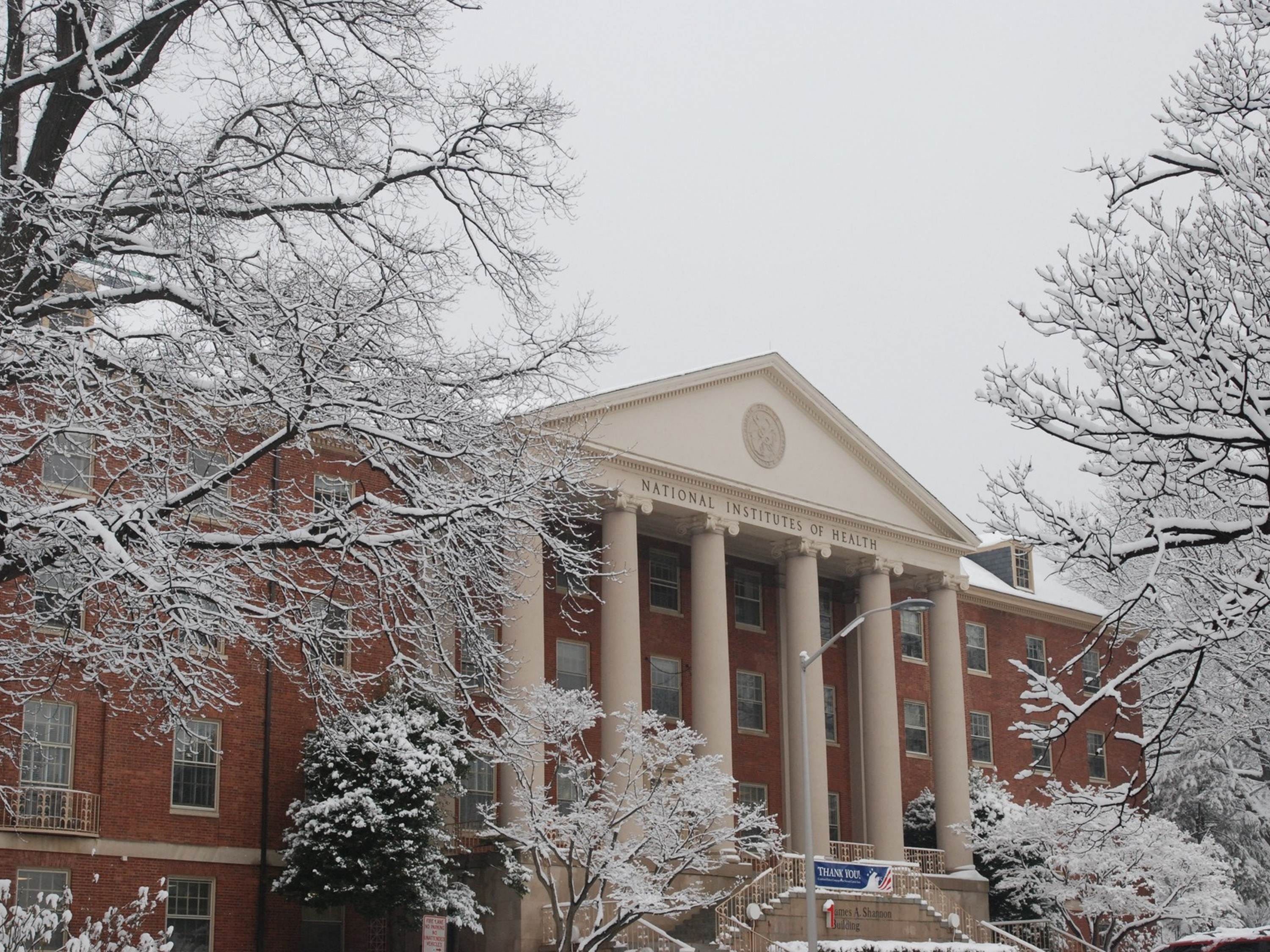 Picture of the main administrative building at NIH -- Building 1 -- in winter with snow on it and the nearby trees.
