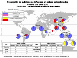 Esta ilustración representa un mapa del mundo que muestra la cocirculación del virus H1N1 2009 y de los virus de influenza de temporada. Están representados Australia, Chile, China, Ghana, Kenia, Nueva Zelanda y Tailandia. Se elaboró un gráfico circular para cada región que muestra el porcentaje de casos de influenza confirmados en laboratorio que dieron positivo ya sea para la influenza H1N1 2009 u otros subtipos de influenza. La mayoría de los casos de influenza confirmados por laboratorio que se informaron en Australia, Chile y Ghana durante las semanas 28 y 29 fueron de influenza H1N1 2009.