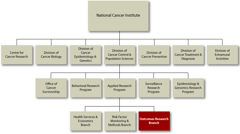 NCI Organization Chart
