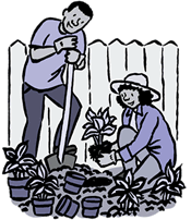 Cartoon of man and woman digging and planting in garden