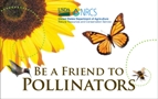 Be a Friend To Pollinators