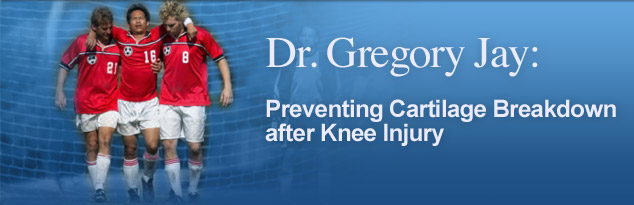 Dr. Gregory Jay: Preventing Cartilage Breakdown after Knee Injury