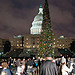 2011 U.S. Capitol Christmas Tree