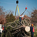 2012 Capitol Christmas Tree