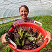 Food Hub: Amy's Organic Garden