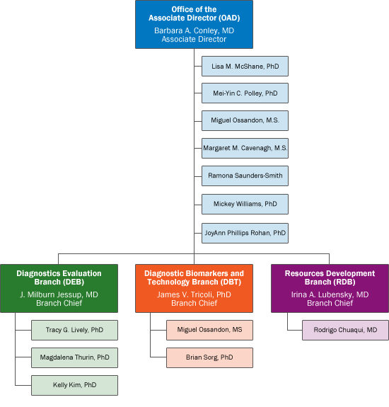 CDP Organizational Chart