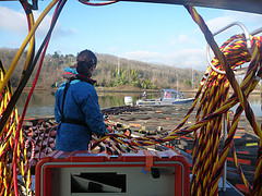 January 15, 2013 - Carefully tending to surface supplied diver