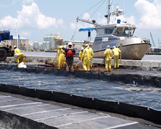 Gulf of Mexico Oil Spill Cleanup