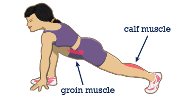 Illustration of groin stretch