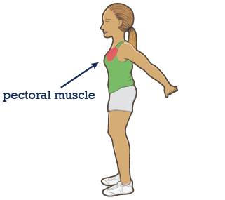 Illustration of pectoral stretch