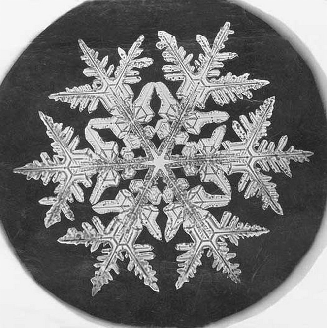 Image description: Wilson A. Bentley adapted a microscope to a bellows camera, and after years of trial and error, he became the first person to photograph a single snowflake in 1885. 
In 1903, he sent 500 prints of his snowflakes to the Smithsonian and these images are now part of their archives. View more of Bentley&#8217;s snowflake photos.
Photo from the Smithsonian Institution Archives