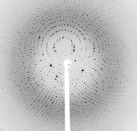 Laue X-ray diffraction pattern of a single crystal of a dimeric hemoglobin taken at the BioCARS structural biology research center. Credit: Vukica Srajer, BioCARS/University of Chicago, and William Royer, Jr., University of Massachusetts Medical School