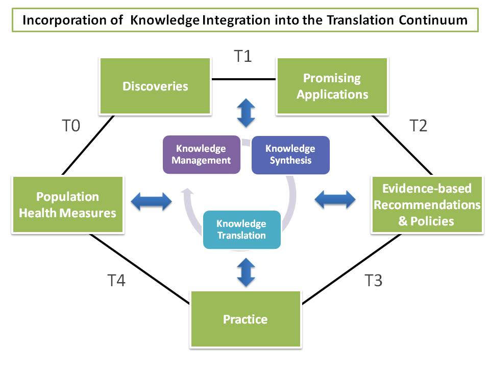 Incorporation of Knowledge Integration into the Translation Continuum
