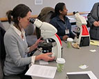 image of preservationists with microscopes