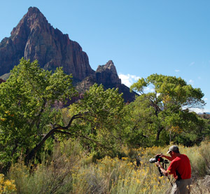 Park vistor photographing natural resources at Zion National Park, Utah.