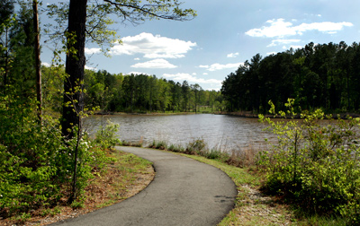 Walking path beside the lake on a sunny day