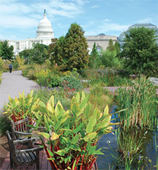 U.S. Botanic Garden