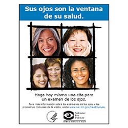 Afiche sus Ojos Son la Ventana de su Salud, Versión 2 (Your Eyes Are The Windows To Your Health Poster, Version 2)