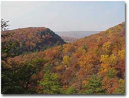 A picture of mountain in fall