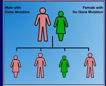 A family tree showing inheritance of a mutated gene
