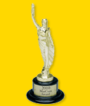 NEOVIZION Bronze Award
