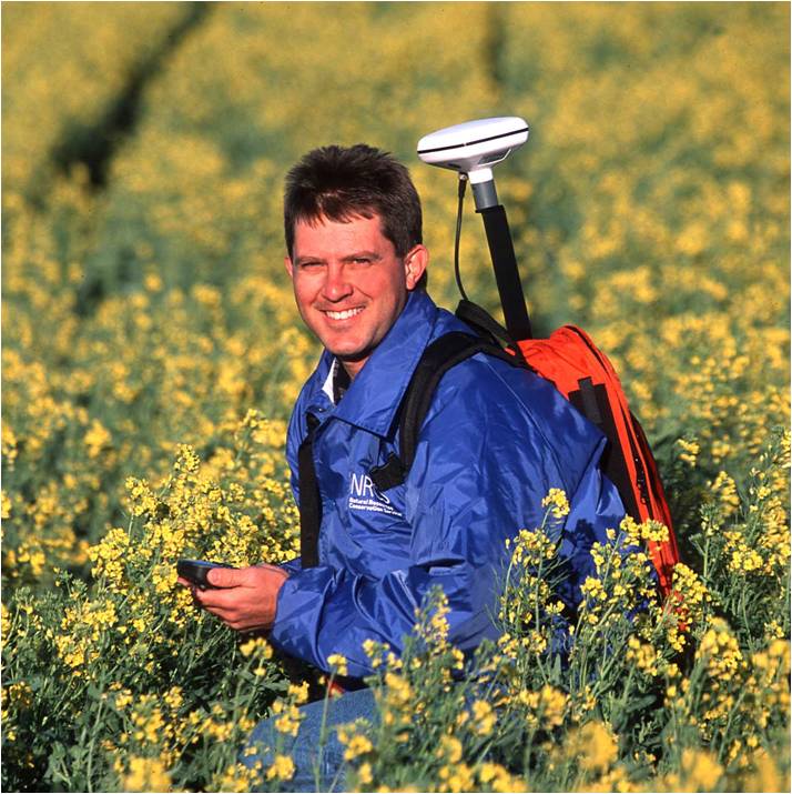 NRCS field personnel in a field of yellow flowers