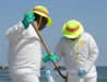 Crew clean up the oil spill on the beach