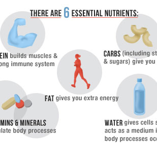 There are 6 essential nutrients