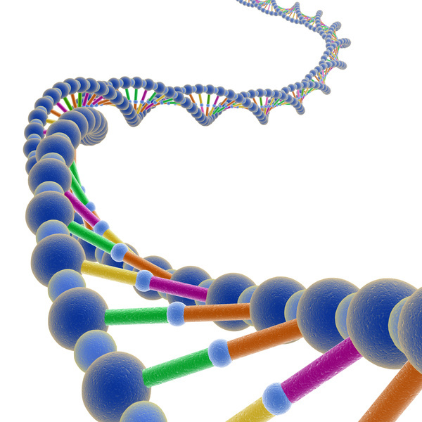 picture of DNA