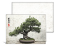 Bonsai Notecards (Set of 10)