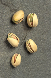 Photo: Five pistachios in the shell. Link to photo information
