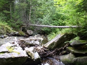 stream mostly blocked by rocks and fallen branches