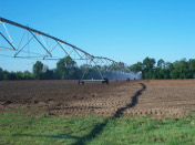 Irrigation on the Thaggard Farm in Georgia.