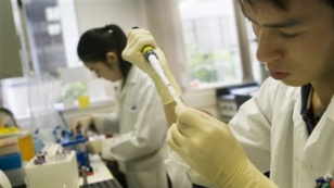 A lab officer carries out a DNA extraction from cells as part of a process to look for molecular markers containing cancer cells in a patient,  April 20, 2007 in Singapore.
