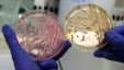 Petri dishes with bacterial strains of EHEC bacteria (bacterium Escherichia coli.) , June 2, 2011