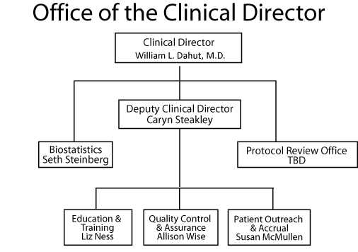 Office of the Clinical Director Organizational Chart