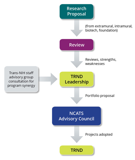 Review Process Diagram