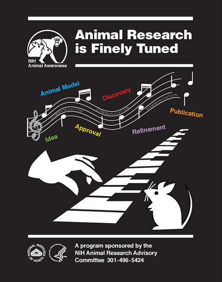 This is poster number ten and the title is Animal Research is Finely Tuned. This black colored poster shows a cartoon-like white gloved hand on the left side of the poster playing a piano keyboard. Above the hand is a flowing line of music with the word Communication between the note lines. Starting on the left side and alternating below and above the line of music are the words Idea, Animal Model, Approval, Discovery, Refinement and Publication. There is a white mouse in the bottom right hand corner listening to the music. If available, gently used copies can be requested from the NIH Office of Animal Care and Use at SecOACU@od.nih.gov . The subtitle at the bottom of the poster is, A Program Sponsored by The NIH Animal Research Advisory Committee, 301-496-5424. The DHHS, NIH and OACU logos are also shown on the poster.