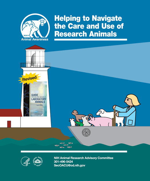 This is poster number thirty-five and the title is Helping Navigate the Care and Use of Research Animals. This royal blue poster displays a white light house and tower that have red roofs located on the left side of the poster and a boat on the right bottom quadrant being directed by the light house’s beam of light. A cartoon-like blonde woman in a light blue surgical suit is piloting the gray boat with the Public Health Service emblem on its bow. The boat also contains animals arranged from left to right starting with a white mouse, brown monkey, white rabbit, green frog, pink pig and white sheep. There is also a school of gray and black zebrafish preceding the boat under the water line and all of them are looking at the light tower that has a hardcopy of the revised Guide for the Care and Use of Laboratory Animals – Eighth Edition on it. Just above the image of the Guide is the word Revised in black letters on a yellow star burst shape to bring attention to it. If available, gently used copies can be requested from the NIH Office of Animal Care and Use at SecOACU@od.nih.gov . The subtitle at the bottom of the poster is NIH Animal Research Advisory Committee, 301-496-5424. The DHHS, NIH and OACU logos are also shown on the poster.