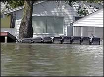 Photo of flooded neighborhood.