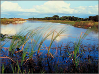 NRCS Celebrates 20 Years of the Wetlands Reserve Program