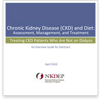 Chronic Kidney Disease and Diet: Assessment, Management, and Treatment (Guide)