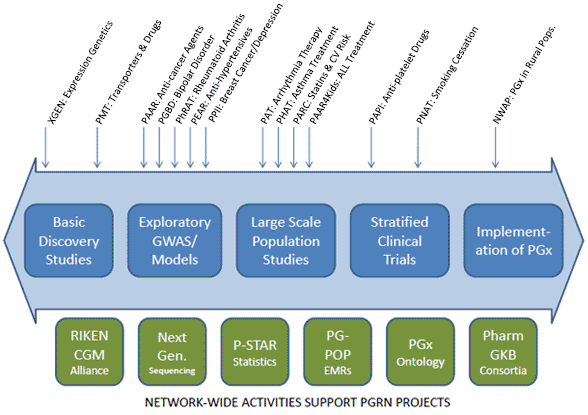 Graph of network-wide activities which support PGRN projects