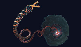 Cell with DNA