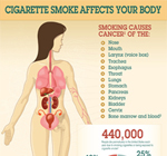 Cigarette Smoke Affects Your Body