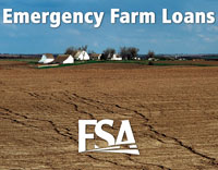 FSA provides Emergency Farm Loans to help producers recover from production and physical losses due to natural disasters or quarantine.